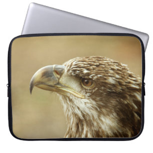 Immature Bald Eagle Laptopschutzhülle