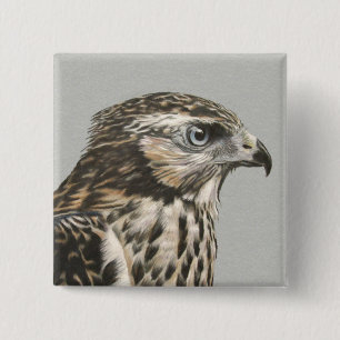 Immature Goshawk Button