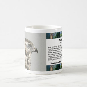 Immature Goshawk Kaffeetasse