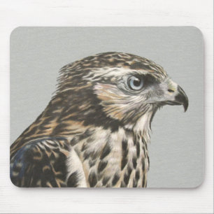 Immature Goshawk Mousepad