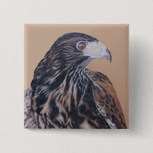 Immature Harris Hawk Button