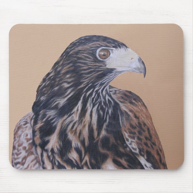 Immature Harris Hawk Mousepad (Vorne)
