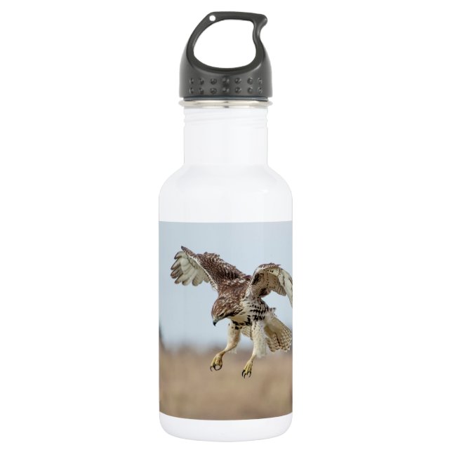 Immature Red Tail Hawk Hovering Edelstahlflasche (Vorderseite)