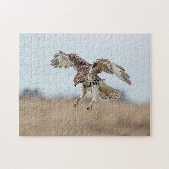 Immature Red Tail Hawk Hovering Puzzle (Horizontal)