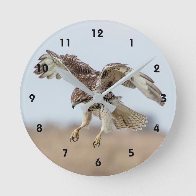 Immature Red Tail Hawk Hovering Runde Wanduhr (Vorderseite)