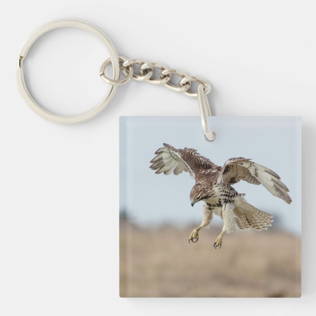 Immature Red Tail Hawk Hovering Schlüsselanhänger (Vorderseite)