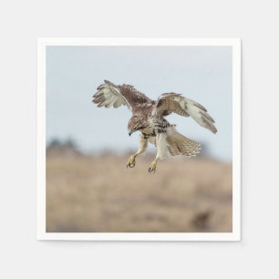 Immature Red Tail Hawk Hovering Serviette