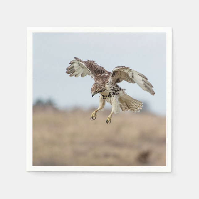 Immature Red Tail Hawk Hovering Serviette (Vorderseite)
