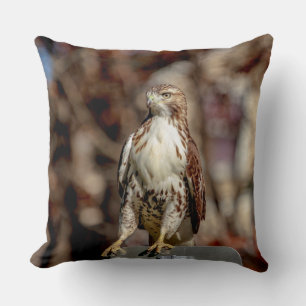 Immature Red Tail Hawk Kissen
