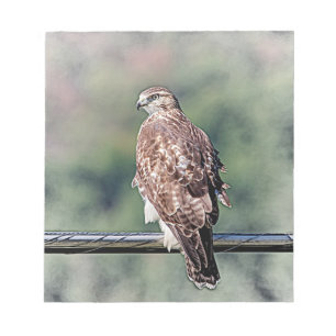 Immature Red Tail Hawk Notizblock