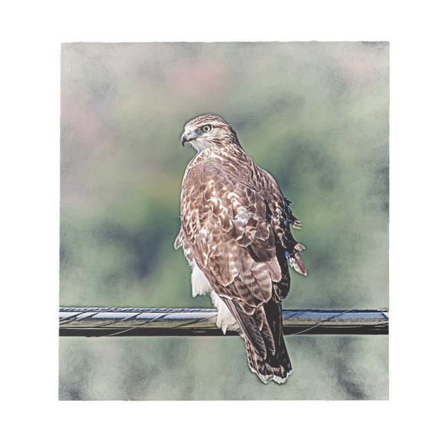 Immature Red Tail Hawk Notizblock (Vorderseite)