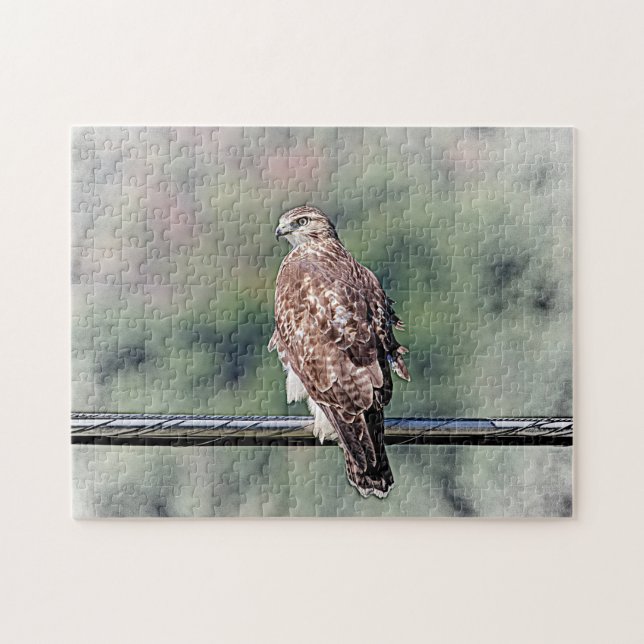 Immature Red Tail Hawk Puzzle (Horizontal)