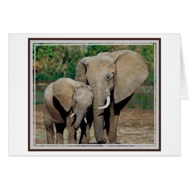 immer auf Ihrer Seite (Vorderseite (Horizontal))