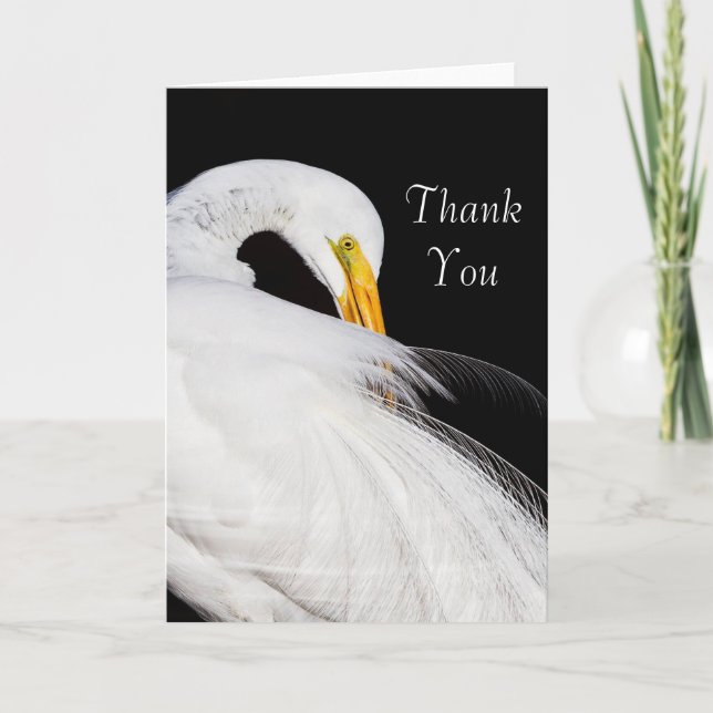 Immer Egrets Vielen Dank Dankeskarte (Vorderseite)