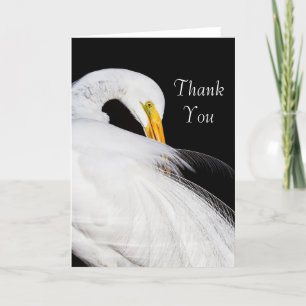 Immer Egrets Vielen Dank Dankeskarte