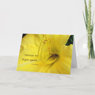 Immer fangen wir wieder… an karte