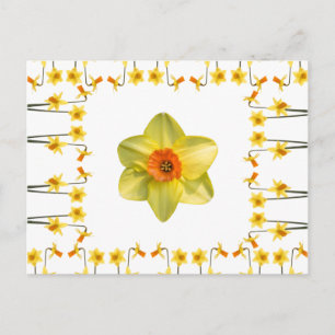 Immer Frühling Postkarte