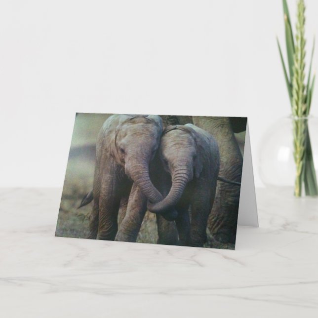 IMMER HIER FÜR SIE KARTE (Vorderseite)