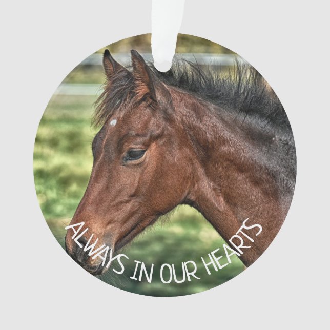 Immer im Herzen, an das Pferd erinnern Ornament (Vorderseite)