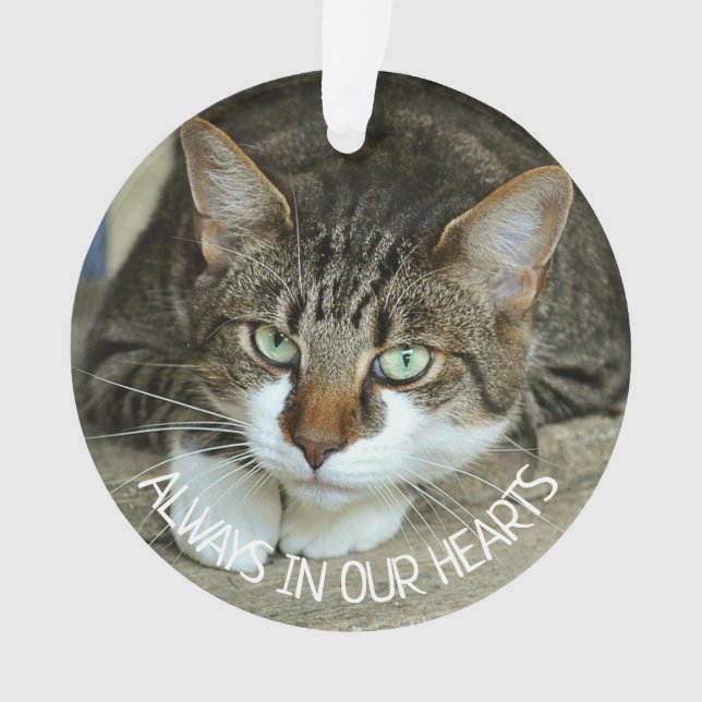 Immer im Herzen, Cat-Erinnerung Ornament (Vorderseite)