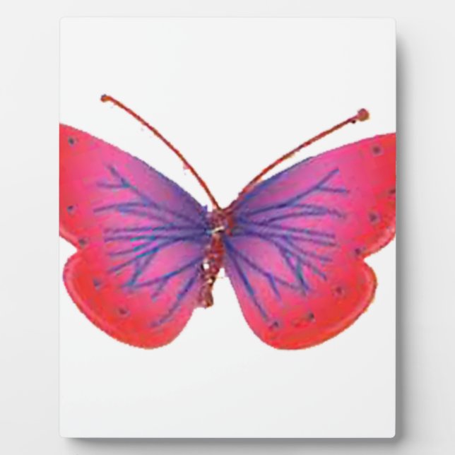 Immer jung fotoplatte (Vorderseite)