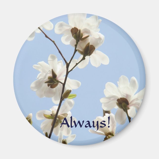 Immer Magnet White Magnolia Blume Springtime (Vorne)