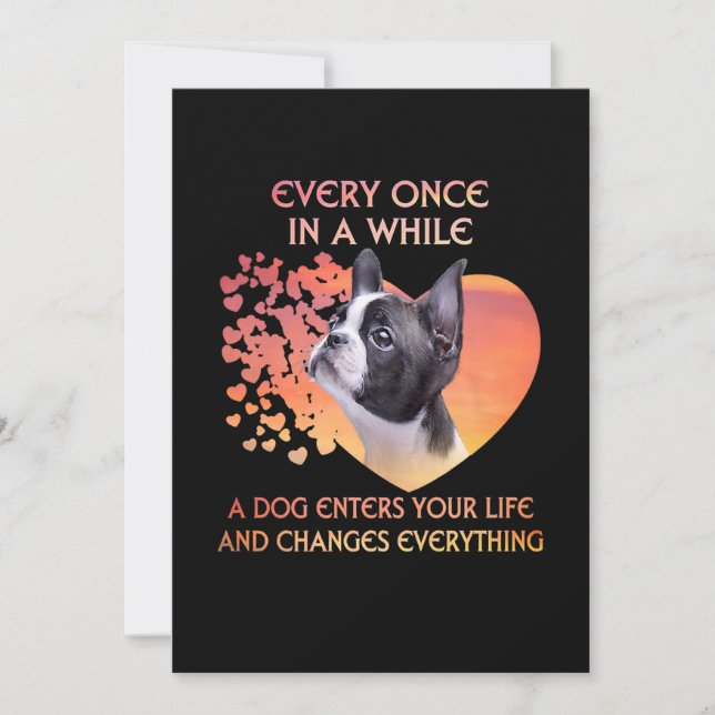 Immer mal, wenn ein Hund in Ihr Leben in Boston ei Ankündigung (Vorderseite)