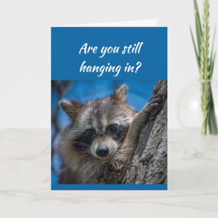 Immer noch durchhalte Ich bin für dich da Waschbär Karte