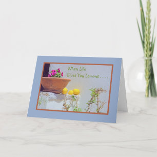 IMMER NOCH LEBEN/PETUNIAS UND LEMONS/WENN DAS LEBE KARTE