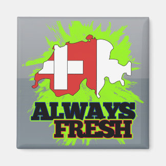 Immer Schweiz frischen Magnet