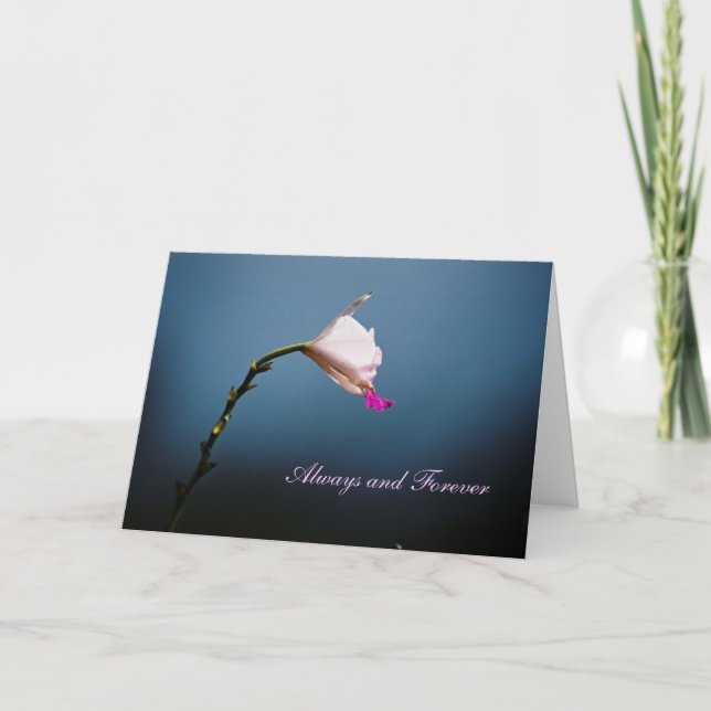 Immer und für immer karte (Vorderseite)