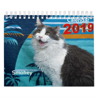 Immer und für immer sammelbarer Kalender 2019