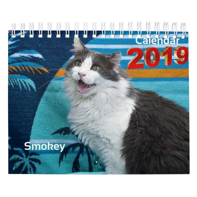 Immer und für immer sammelbarer Kalender 2019 (Titelbild)