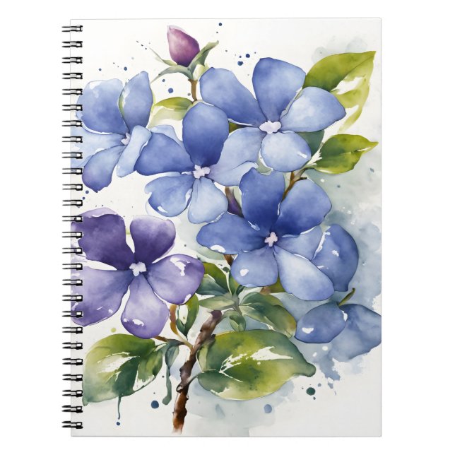 Immergrün - Aquarellblumen Notizblock (Vorderseite)