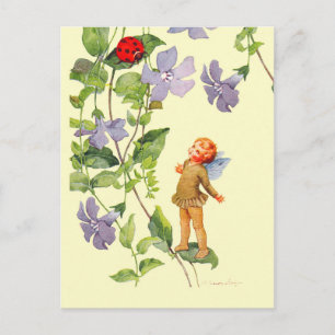 Immergrün-Elfe und Marienkäfer Postkarte