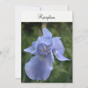Immergrün-Iris-Blumen-Hochzeitsempfang Einladung