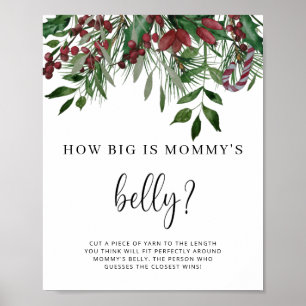 Immergrün wie groß ist Mamas Bauch Spiel Poster