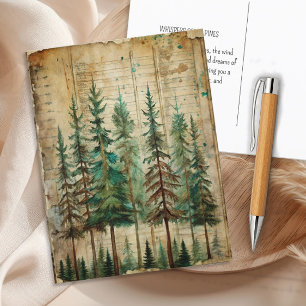 Immergrüne Kiefern Vintage Natur Wald Landschaft Postkarte