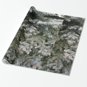 Immergrüner Baum   Geschenkpapier