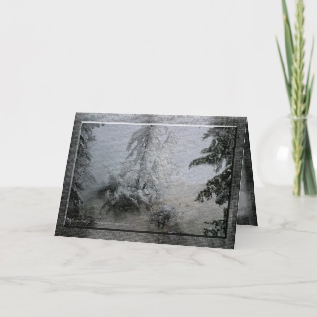 Immergrüner Feiertag Feiertagskarte (Vorderseite)