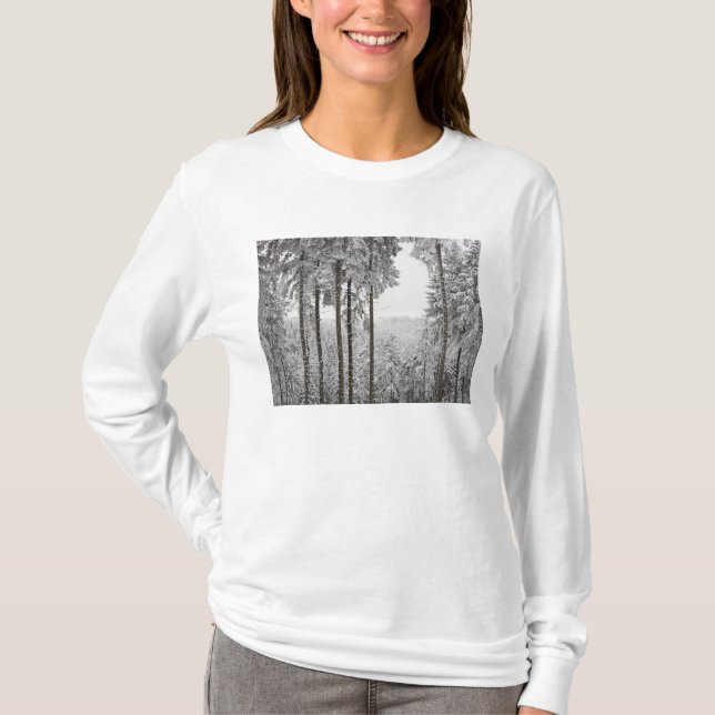 Immergrüner Wald im Winter T-Shirt (Vorderseite)