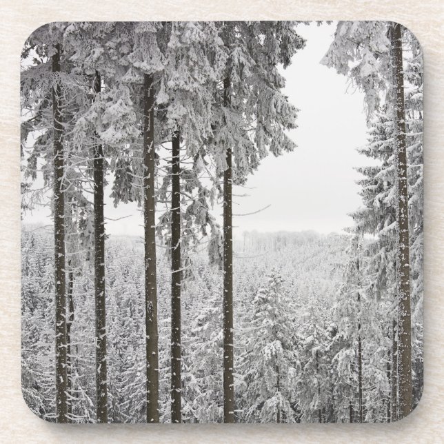 Immergrüner Wald im Winter Untersetzer (Vorderseite)