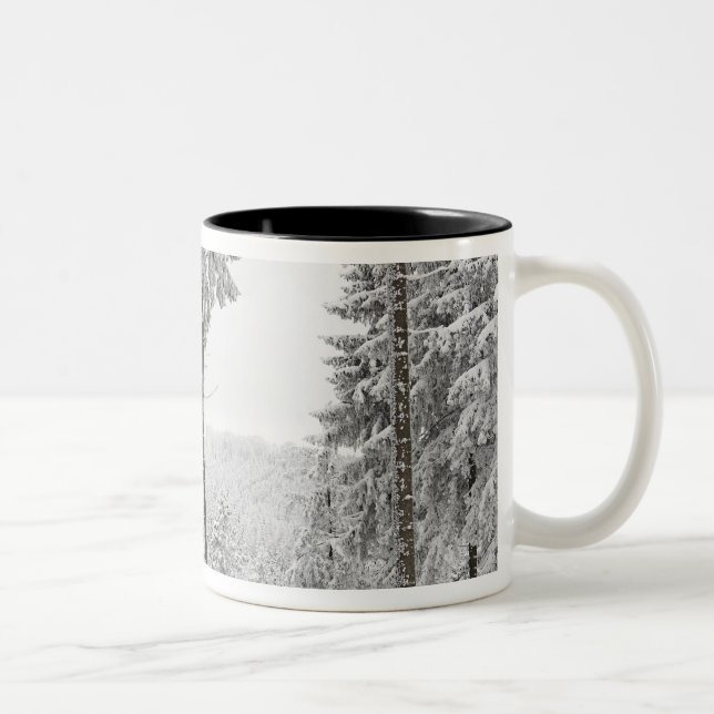 Immergrüner Wald im Winter Zweifarbige Tasse (Rechts)