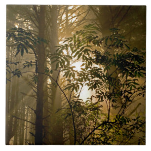 Immergrüner Wald   Oregon-Küste Fliese