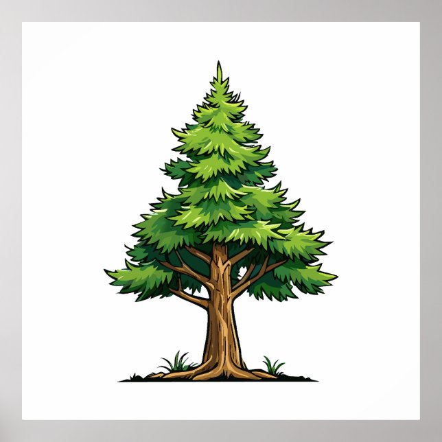 Immergrüner Wald Poster (Vorne)