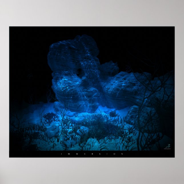 Immersion Poster (Vorne)