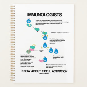 Immunologen kennen die T-Zell-Aktivierung Planer