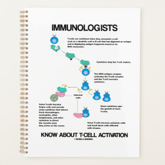 Immunologen kennen die T-Zell-Aktivierung Planer