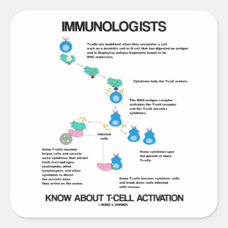 Immunologen kennen die T-Zell-Aktivierung Quadratischer Aufkleber
