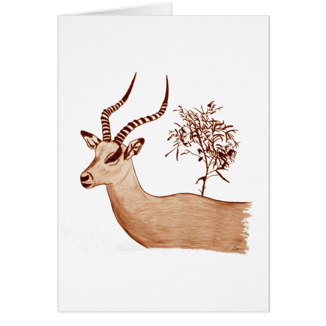 Impala Antelope Tierwelt Zeichnend Sketch (Vorne)